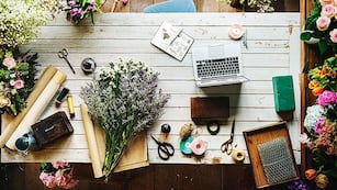 Las 7 mejores plantas para atraer buena energía y prosperidad al hogar.