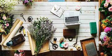 Las 7 mejores plantas para atraer buena energía y prosperidad al hogar.