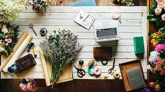 Las 7 mejores plantas para atraer buena energía y prosperidad al hogar.