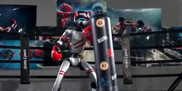 China presentó un "robot boxeador"