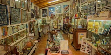 Una gran colección sobre los deportes olímpicos modernos.