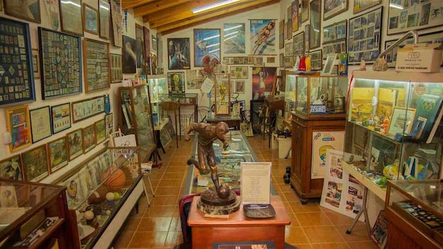 Una gran colección sobre los deportes olímpicos modernos.