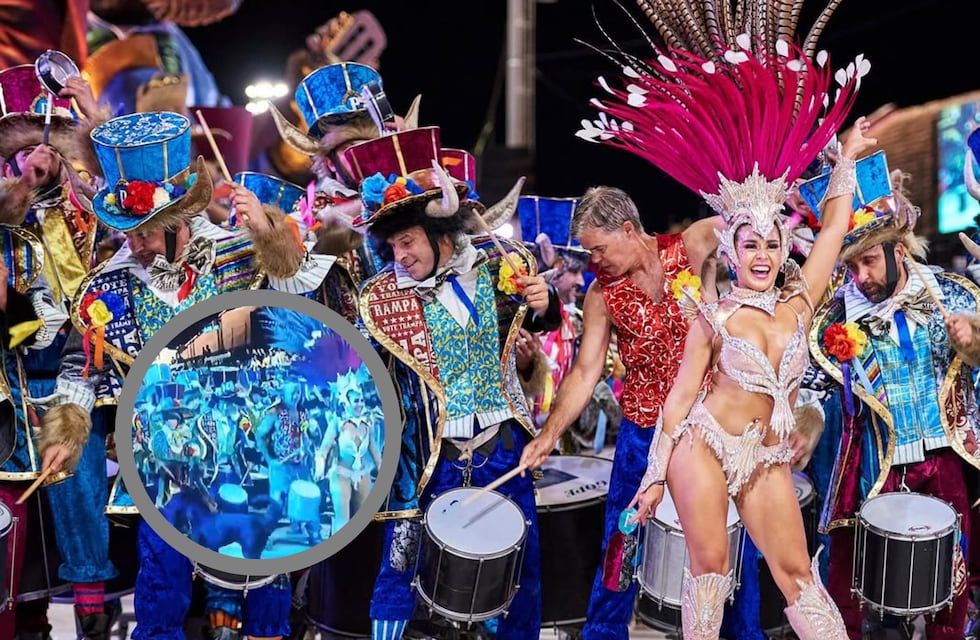 Escándalo en el Carnaval de Gualeguaychú: un perro fue agredido en pleno show de batucada