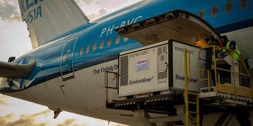 Argentina se aseguró la llegada de 3 millones de dosis de vacunas Sinopharm contra el Covid-19