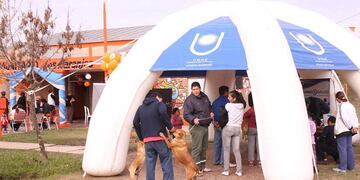 Se pretende financiar actividades de extensión vinculadas a contrarrestar los efectos negativos dejados por la pandemia, con activa participación de estudiantes.