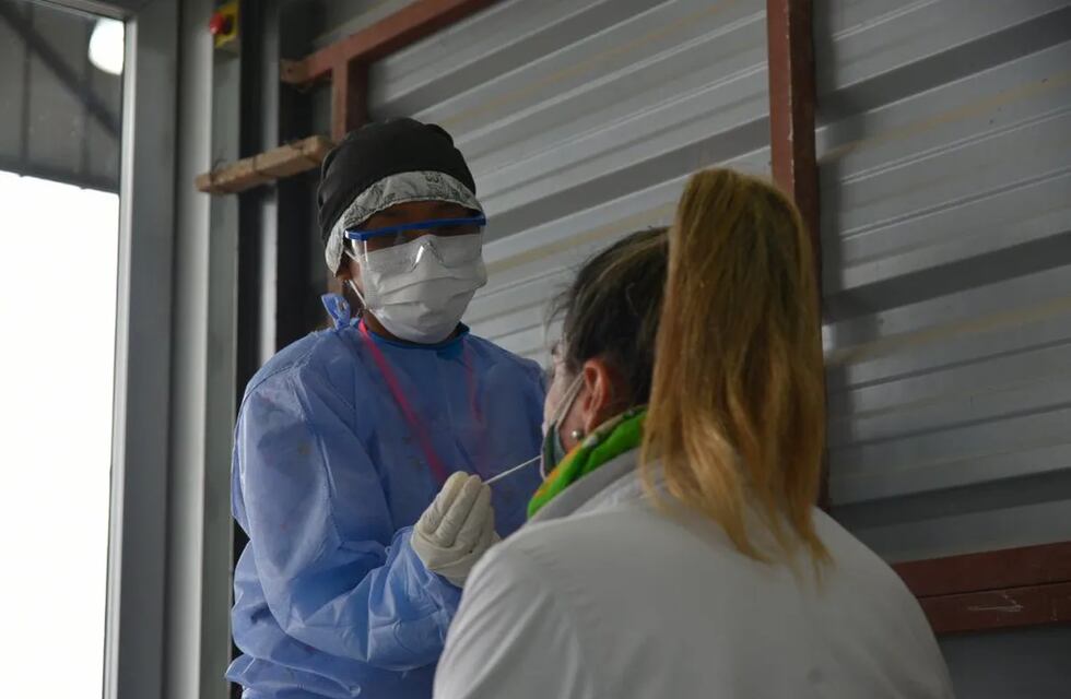 Coronavirus: actualización epidemiológica de Tierra del Fuego