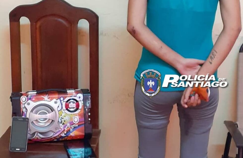 Detuvieron a una mujer embarazada por varios robos