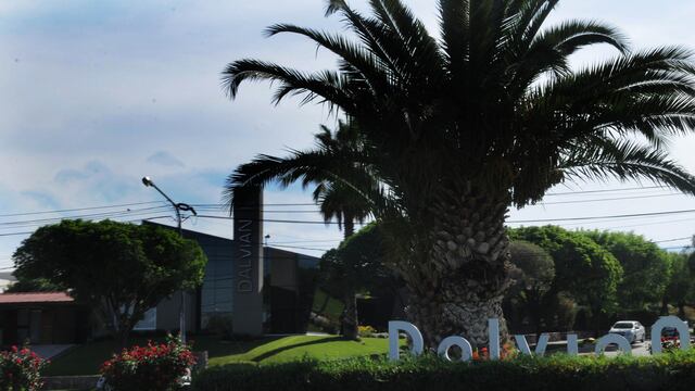 Millonario robo en el barrio Dalvian