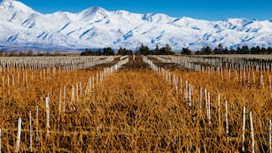 .La inteligencia artificial reveló cuáles son las ciudades de Argentina entre las mejores del mundo.