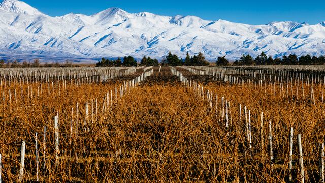 .La inteligencia artificial reveló cuáles son las ciudades de Argentina entre las mejores del mundo.