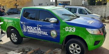 Rescataron animales silvestres en cautiverio en Córdoba