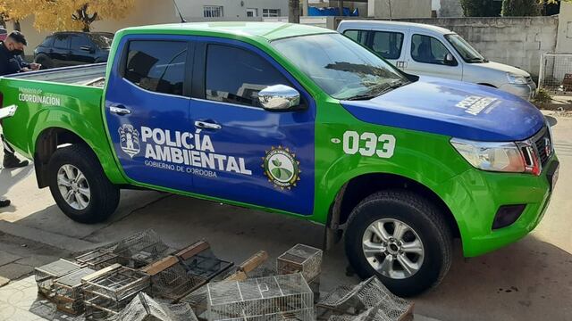Rescataron animales silvestres en cautiverio en Córdoba