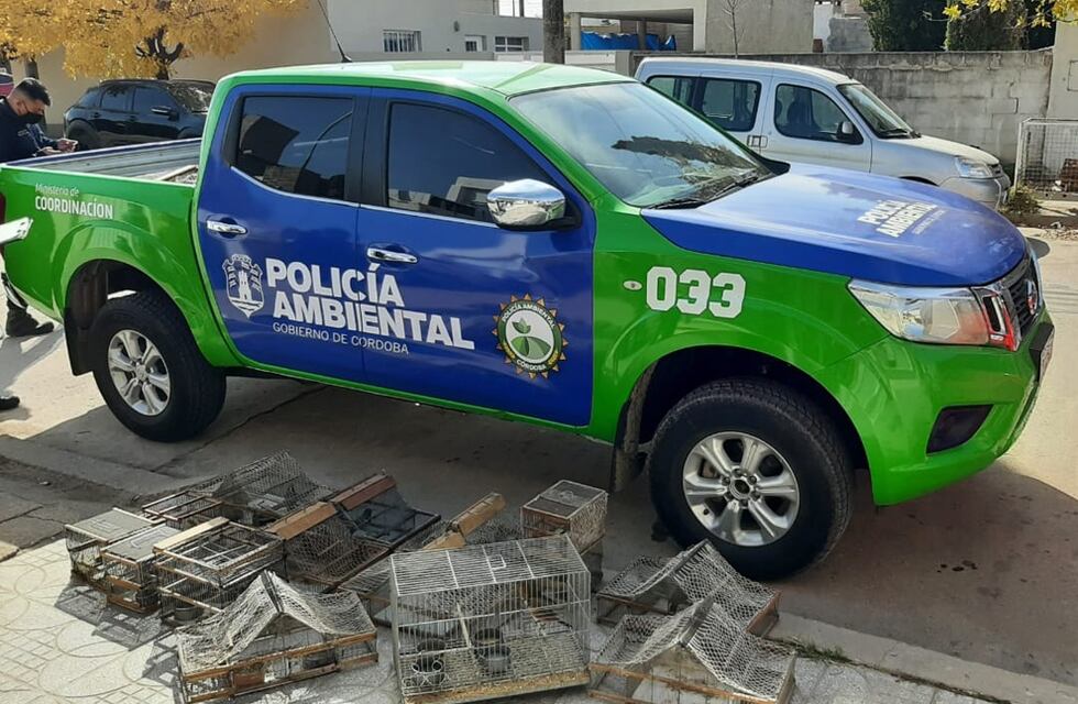 Arroyito: tras un allanamiento, secuestran armas de fuego y fauna silvestre en la zona rural