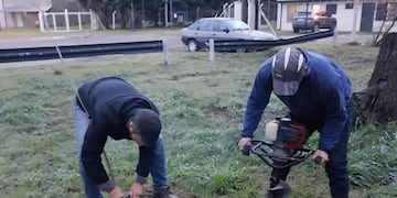 Tres Arroyos plantan fresnos en el predio de la Cabina Sanitaria