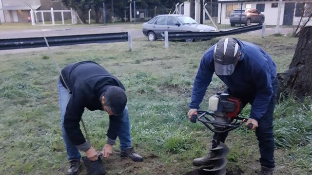 Tres Arroyos plantan fresnos en el predio de la Cabina Sanitaria