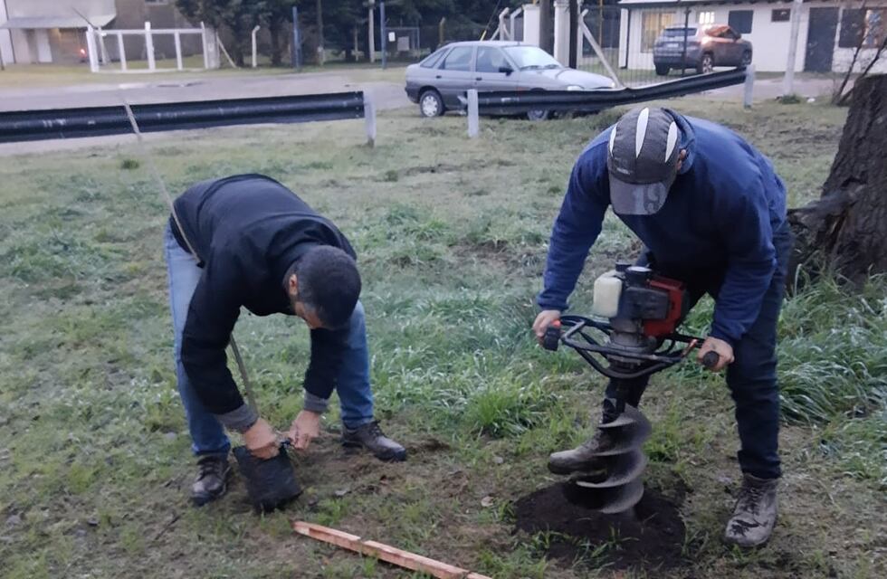Tres Arroyos: plantan fresnos en el predio de la Cabina Sanitaria