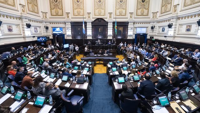 Gentileza: Honorable Cámara de Diputados de la Provincia de Buenos Aires.