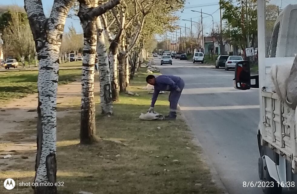Tres Arroyos: Desde la Coordinación de Higiene Urbana informan los trabajos realizados durante la semana