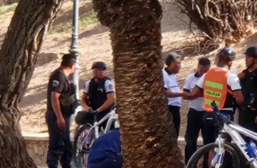 Una mujer cayó al Lago del Parque de Mendoza y la rescató un hombre que practicaba remo