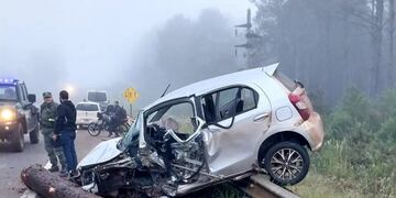 San Ignacio: camión con rollos de pino perdió su carga causando un siniestro vial.