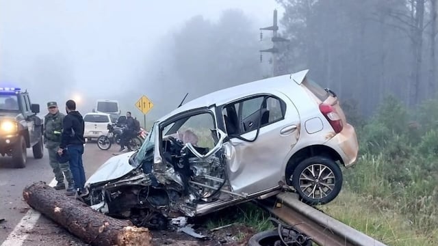 San Ignacio: camión con rollos de pino perdió su carga causando un siniestro vial.