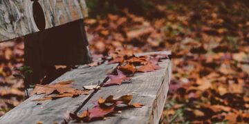 (Annie Spratt/Unsplash)