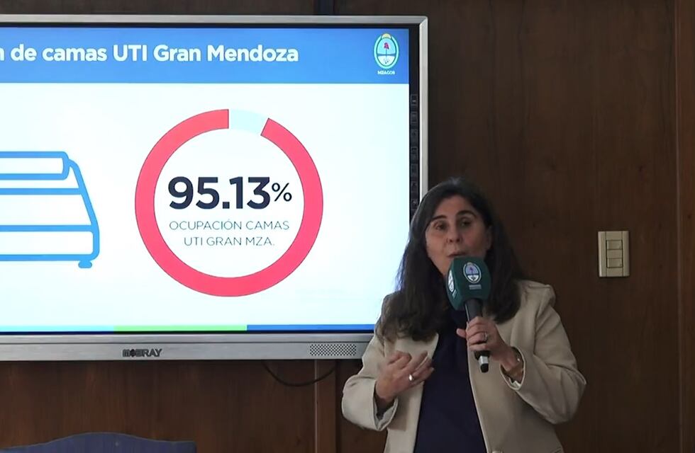 Tras las críticas del PJ, Nadal informará en la Legislatura la situación sanitaria de Mendoza