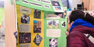 Continúa la 5º edición de la Expo Ambiental en Ushuaia
