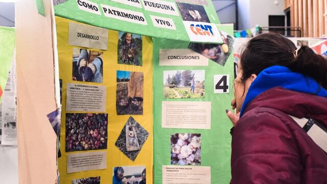 Continúa la 5º edición de la Expo Ambiental en Ushuaia