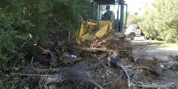Trabajos de limpieza en Villa del Mar a cargo de trabajadores municipales.