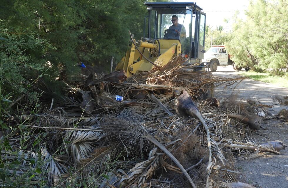 Trabajos de limpieza y protección costera en Villa del Mar