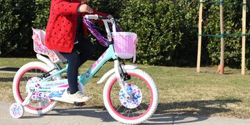 Día del Niño en Argentina: cómo conseguir una bicicleta Peretti por $65.000.