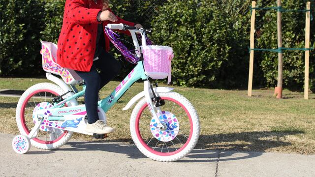 Día del Niño en Argentina: cómo conseguir una bicicleta Peretti por $65.000.