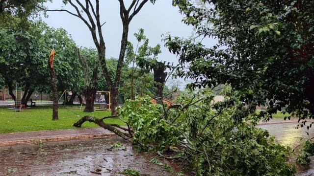 El temporal dejó a gran cantidad de usuarios sin suministro eléctrico.