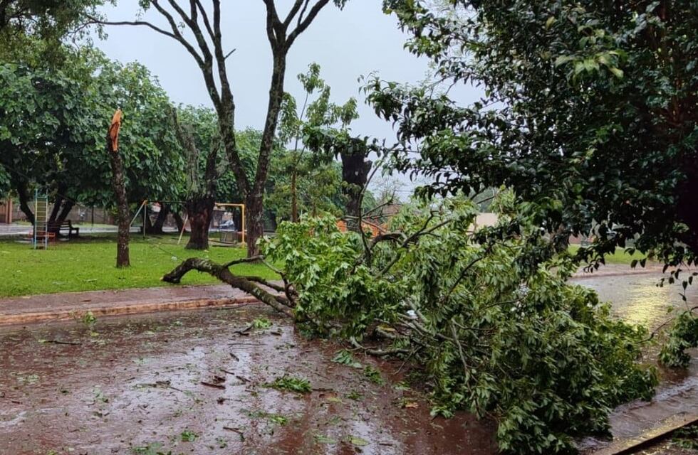 El Gobierno pidió “máxima colaboración” sobre el uso de la energía y deberá importarla desde Brasil: cuándo informó que se restablecerá el servicio