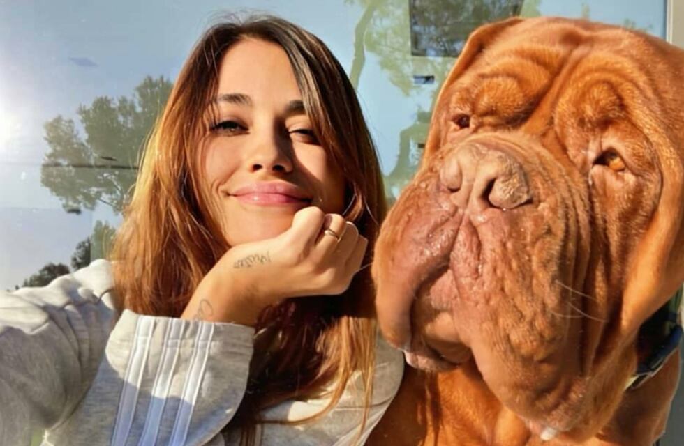 Rendido a sus pies: Antonela Roccuzzo mostró el gesto de amor perruno de Hulk
