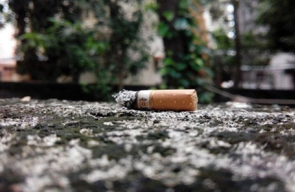 “Gualeguaychú sin colillas”: la campaña que invita a cuidar los espacios públicos a cambio de un árbol