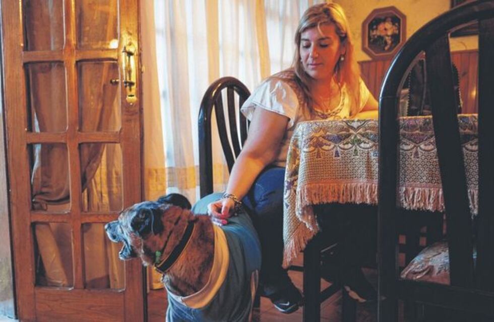 La historia de la primera “tutora” legal de un perro y el caso de “Dardo”, la mascota callejera que conmovió a Salta