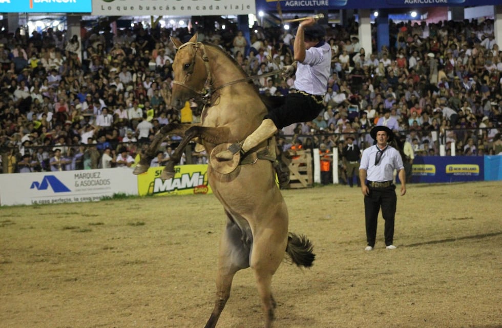 El Festival de Jesús María suspendió una actividad por el virus que afecta a caballos: de qué se trata
