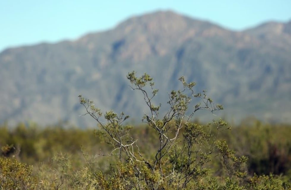 Arroyito inicia la semana del medio ambiente instalando un punto fijo de RAEE