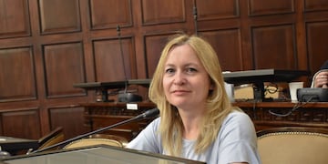 Diputada provincial- Hebe Casado.