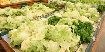 Aumento de precios de las verduras de hojas por pedrea en el cinturón verde de Córdoba (foto ramiro pereyra)