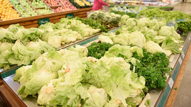Aumento de precios de las verduras de hojas por pedrea en el cinturón verde de Córdoba (foto ramiro pereyra)