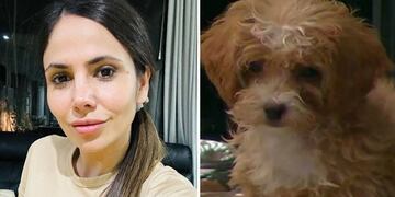 La preocupante foto de Caramelo que Romina Uhrig tuvo que aclarar.