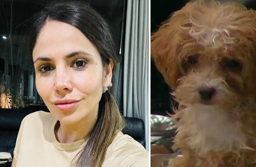 Cómo es la cama de $22.000 en la que duerme Caramelo, el perrito de Gran Hermano
