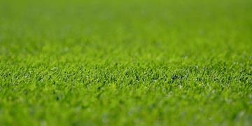 Por qué hay olor a podrido en el césped