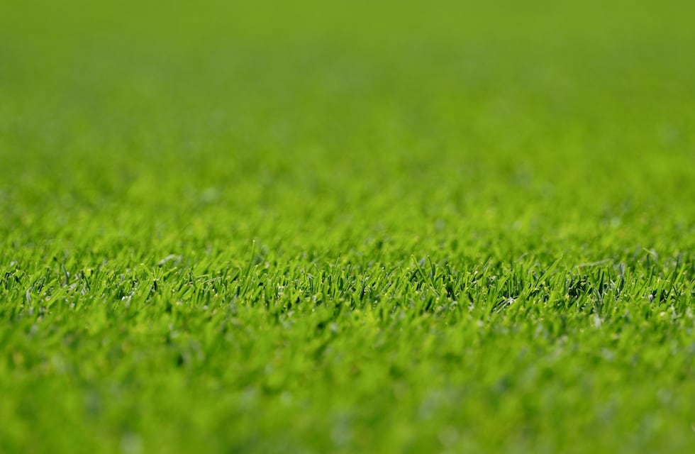 Por qué el césped de mi casa huele a podrido: esta es la explicación