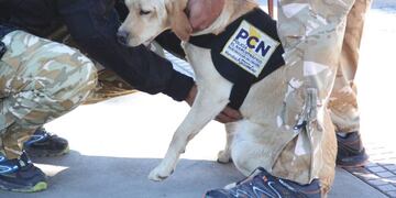 Afrodita comenzó a prestar servicios en Alvear en 2017.