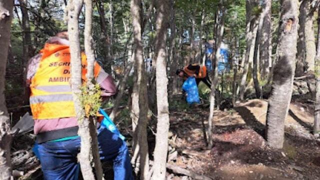 Ushuaia: avanzan los trabajos en el camping de Andorra