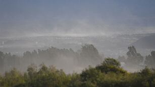 Fuertes ráfagas de viento zonda en la provincia de Mendoza, donde dejó algunos árboles caidos.
Foto: José Gutierrez/ Los Andes